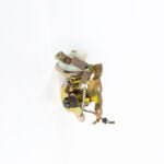 Conjunto Desafogador - Imagem 3