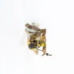 Conjunto Desafogador - Imagem 3