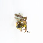 Conjunto Desafogador - Imagem 2