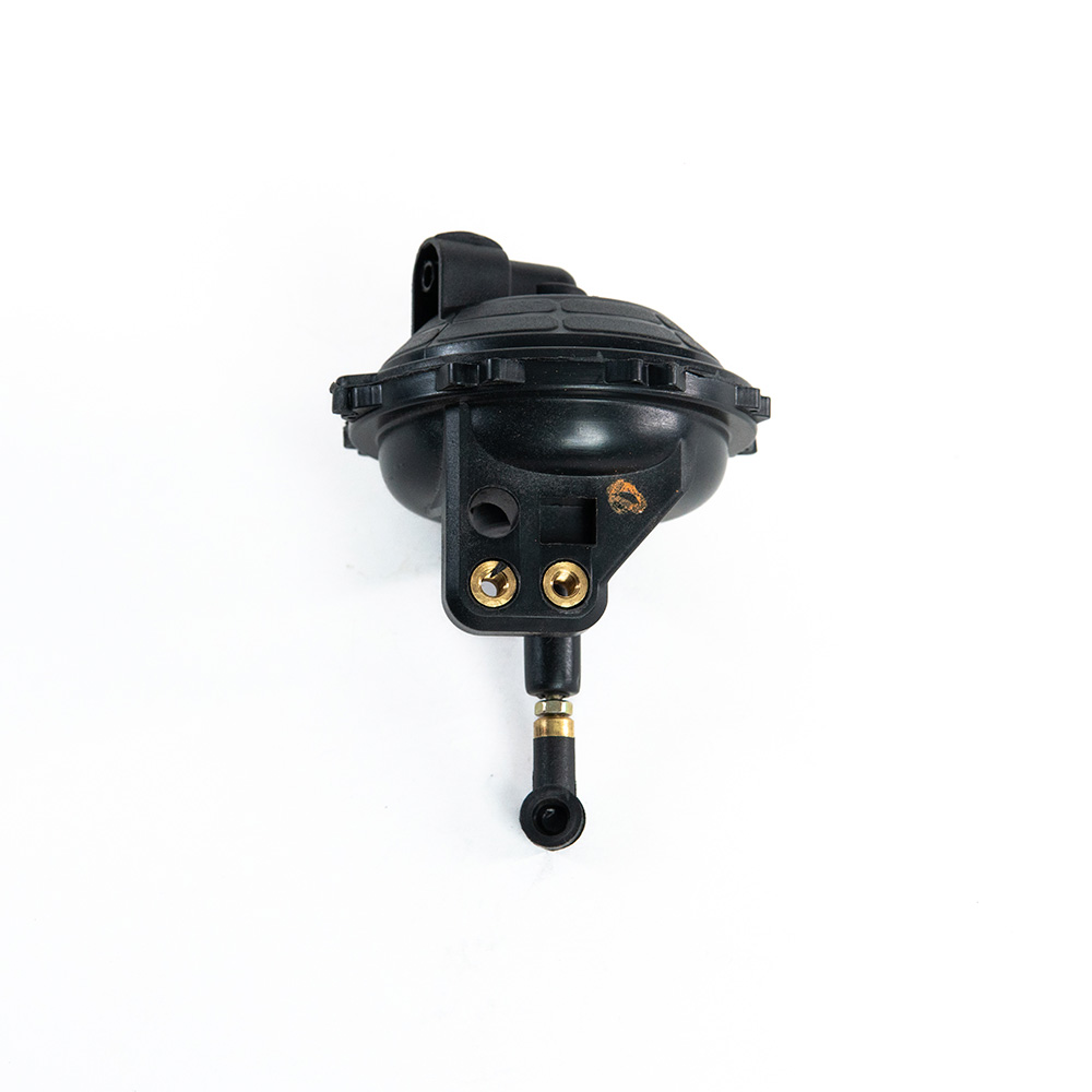 403897 Conjunto da Cápsula - Imagem 1