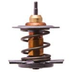 Refil Válvula Termostática