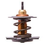 Refil Válvula Termostática