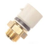 Interruptor térmico