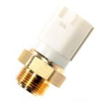 Interruptor térmico