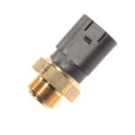 Interruptor térmico